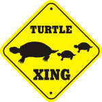 turtle crossing