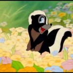 skunk flower